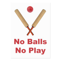 Got No Balls Play Cricket business cards