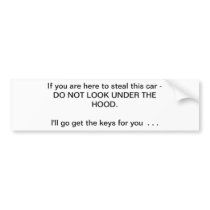 Got No Money Guide Anti-Theft Bumper Sticker 20
