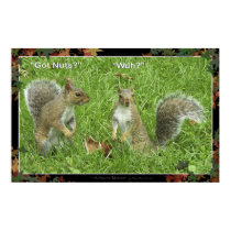 "GOT NUTS?" Fun Squirrel Poster posters by RavenSpiritPrints "GOT NUTS?" Fun Squirrel Poster posters