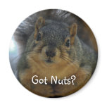 Got Nuts? Fridge Magnet