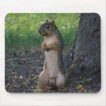 Got Nuts Mouse Pad mousepads