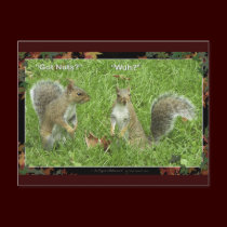 "GOT NUTS?" Post cards postcards