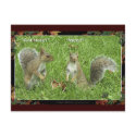 "GOT NUTS?" Post cards postcards by RavenSpiritPrints "GOT NUTS?" Post cards postcards