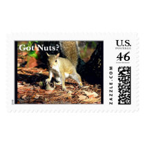 Got Nuts? postage by dreagan07 Got Nuts? postage