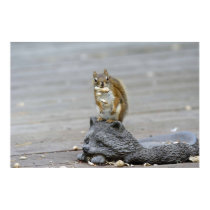 Got Nuts? posters