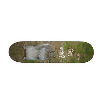 Got nuts? skateboards