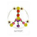 Got Peace? posters