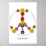 Got Peace? Print