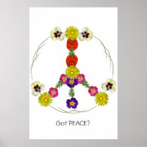 Got Peace? Print
