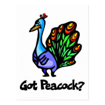 Got Peacock Postcard