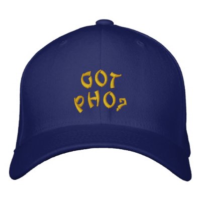 Got Pho Embroidered Hat by Method77