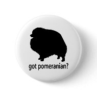 Got Pomeranian button