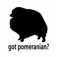 Got Pomeranian shirt
