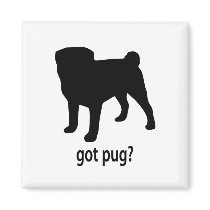 Got Pug magnets