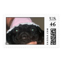 Got Pugs? postage by Bo0o0oahhhhh Got Pugs? postage