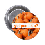got pumpkin? Button