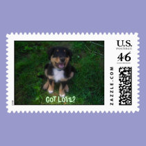 GOT  PUPPY  LOVE? POSTAGE stamps
