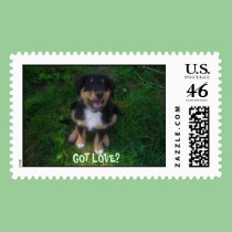 GOT  PUPPY  LOVE? POSTAGE postage