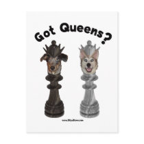 Got Queens Chess Dogs Post Cards