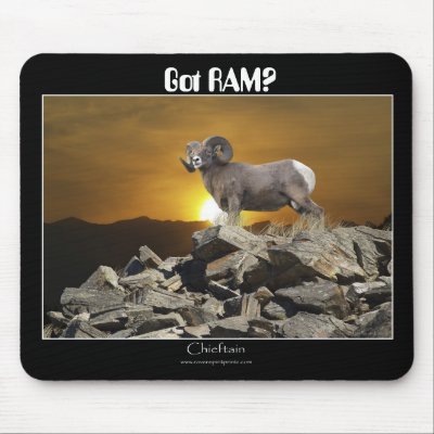 Got RAM? Mousepad by RavenSpiritPrints