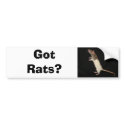 Got Rats?, Got Rats? bumper stickers by Shokara Got Rats?, Got Rats? bumper stickers