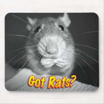 "Got Rats?" Mouse Pad mousepads by thesalemrats "Got Rats?" Mouse Pad mousepads