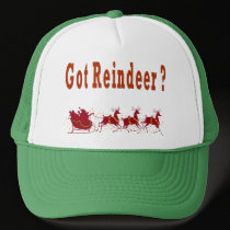 Got reindeer Holiday Hat