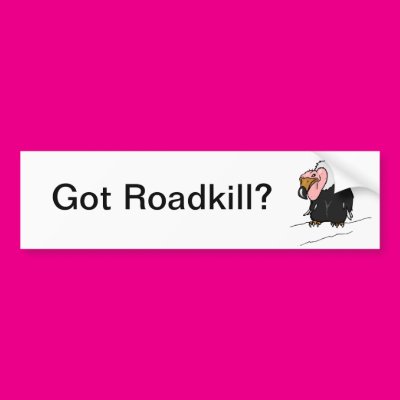 Got Roadkill Zazzle_bumpersticker Got Roadkill Zazzle_bumpersticker