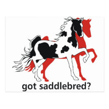 Got Saddlebred? Post Cards
