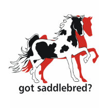 Got Saddlebred? t-shirts