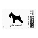 Got Schnauzer postage