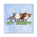 got sheep magnets
