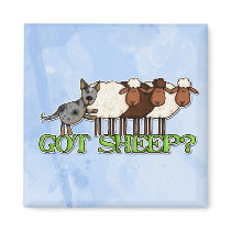 got sheep magnets