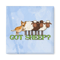 got sheep magnets