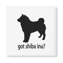 Got Shiba Inu magnets