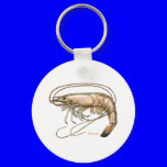 Got Shrimp by FishTs.com