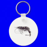 Got Shrimp by FishTs.com