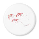 Got Shrimp by FishTs.com
