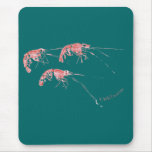 Got Shrimp by FishTs.com
