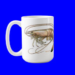Got Shrimp by FishTs.com