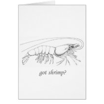 "got shrimp" logo cards