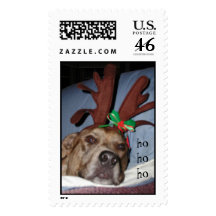 Got Sleigh? Postage Stamps