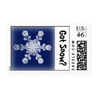Got Snow? 1 Stamp stamp
