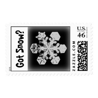 Got Snow? 3 Stamp stamp