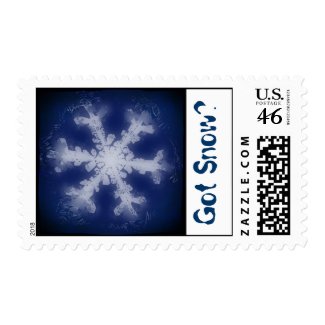 Got Snow? 6 Stamp stamp