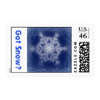Got Snow? 7 Stamp stamp