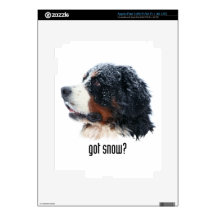 got snow? Bernese Mountain Dog Decal For iPad 3