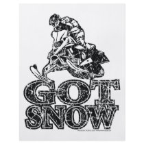 Got-Snow-Distressed Flyer