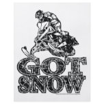 Got-Snow-Distressed Flyer