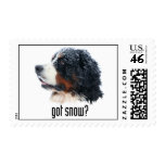 got snow? postage